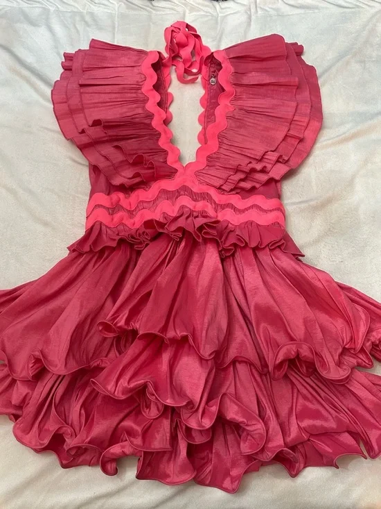 CeliaB Pink Prisma Ruffle Mini Dress Large barbiecore statement 38204 - Picture 2 of 11